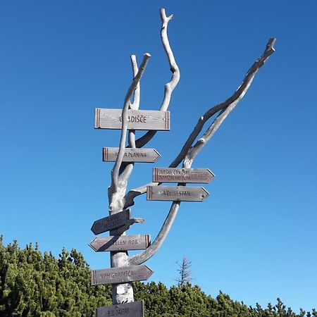 Chalet Zlatica Velika Planina Стаховица Экстерьер фото