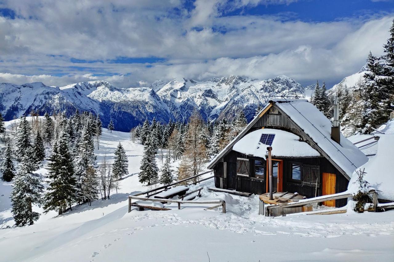 Chalet Zlatica Velika Planina Стаховица Экстерьер фото