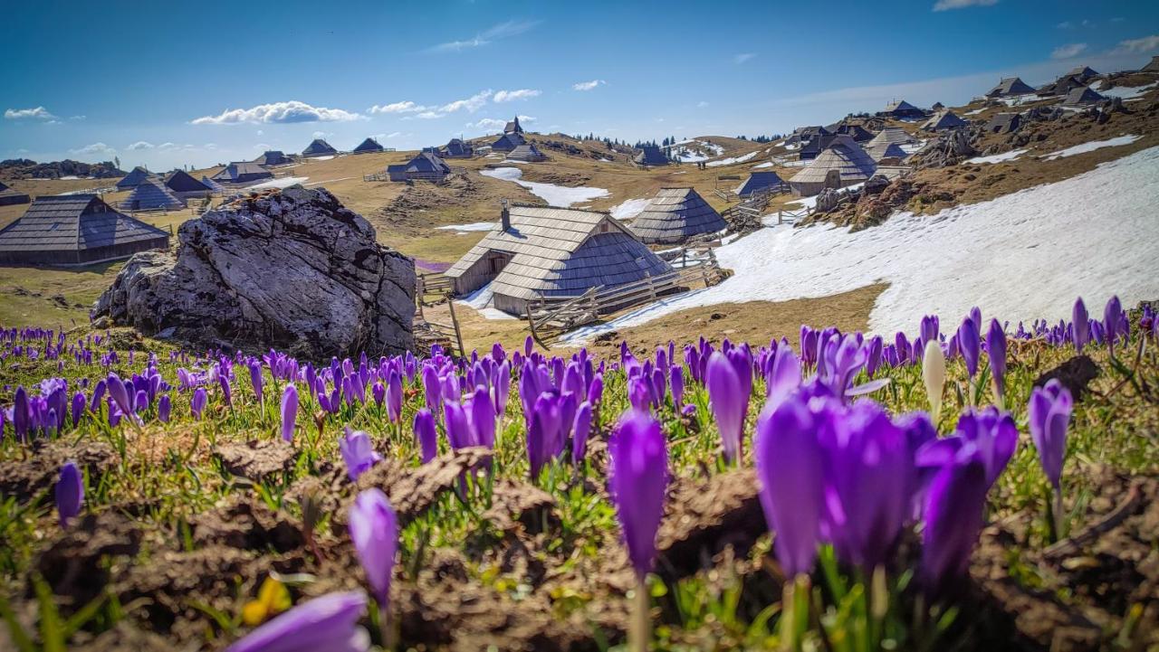 Chalet Zlatica Velika Planina Стаховица Экстерьер фото