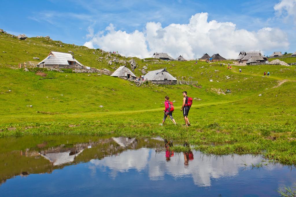 Chalet Zlatica Velika Planina Стаховица Экстерьер фото