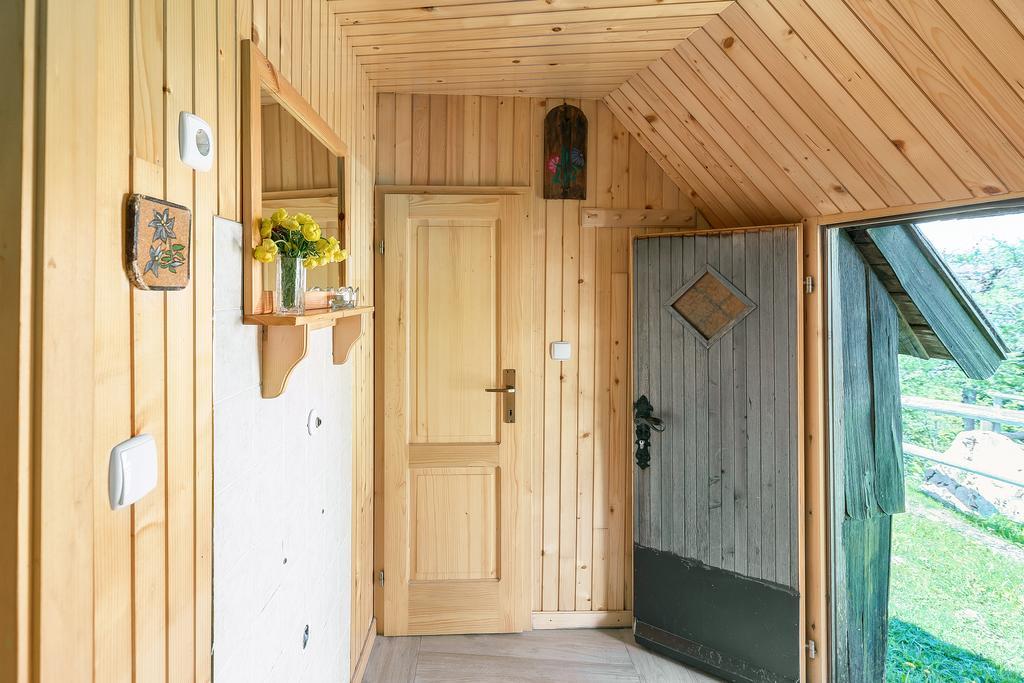 Chalet Zlatica Velika Planina Стаховица Экстерьер фото