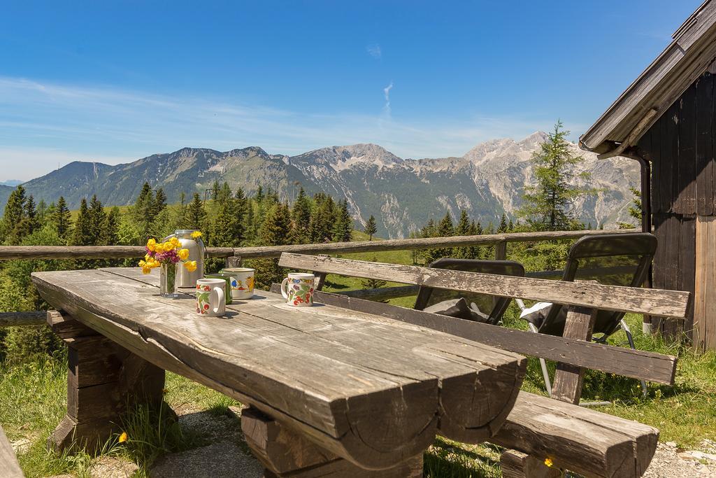 Chalet Zlatica Velika Planina Стаховица Экстерьер фото