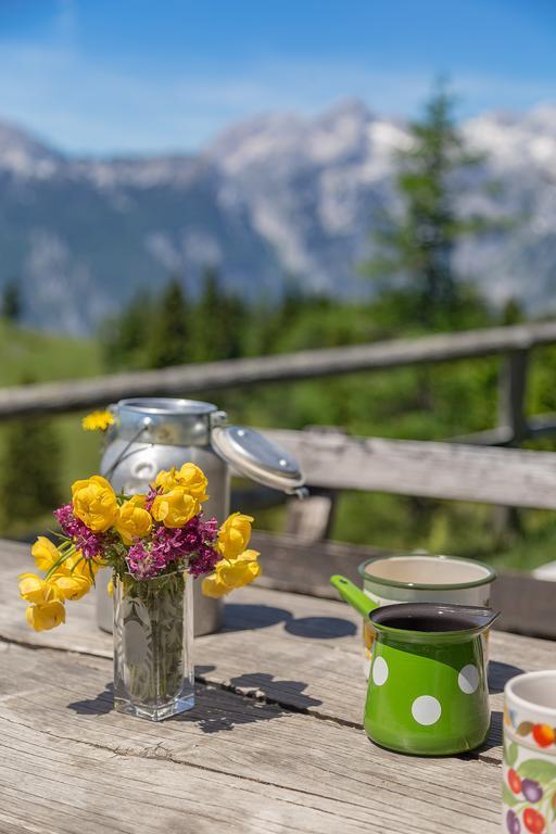 Chalet Zlatica Velika Planina Стаховица Экстерьер фото